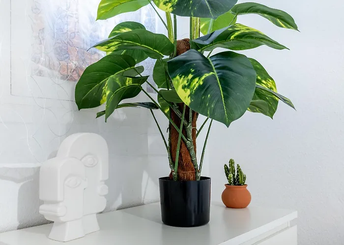 32 Bright Copacabana Ocean View Free Wifi * Costa Adeje (Tenerife)